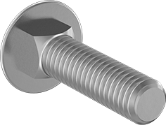 Carriage Bolts
